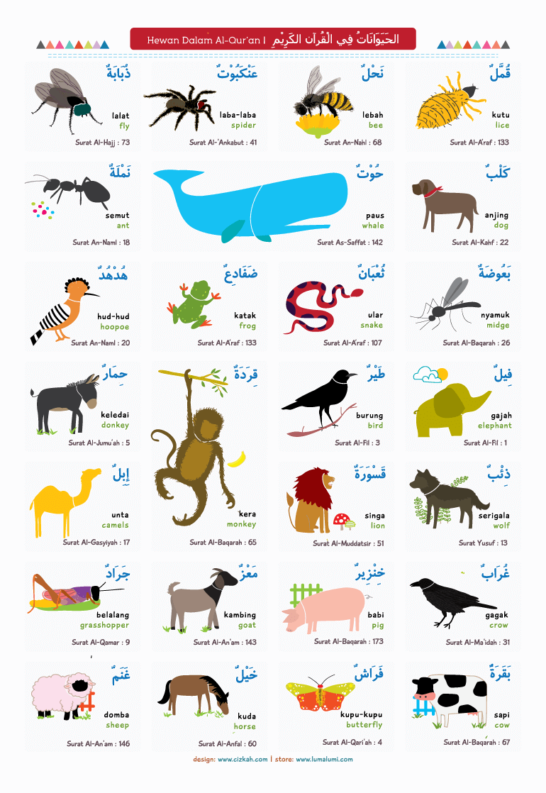 Nama Binatang Dalam Bahasa Inggris